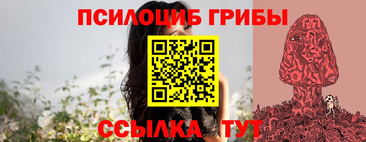 Северск  даркнет сайт  Вход с VPN  Псилоцибиновые грибы Psilocybine cubensis 